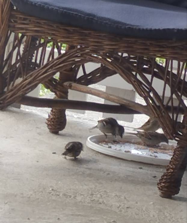 SUPER FOTKE vaših ljubimaca! Neki bi mogli biti viralni hit, ali svi su jednostavno neodoljivi