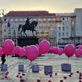 Rozi centar glavnih gradova u regiji na Dan Žena od Zagreba do Skopja