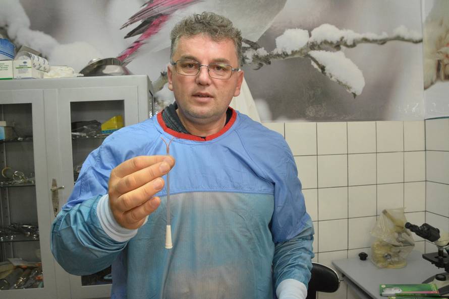 Andreja Thomas/24sata