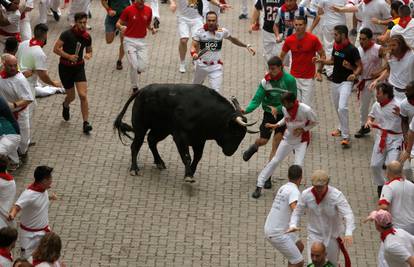 PETA daje 250.000 € Pamploni  ako zabrane utrke s bikovima