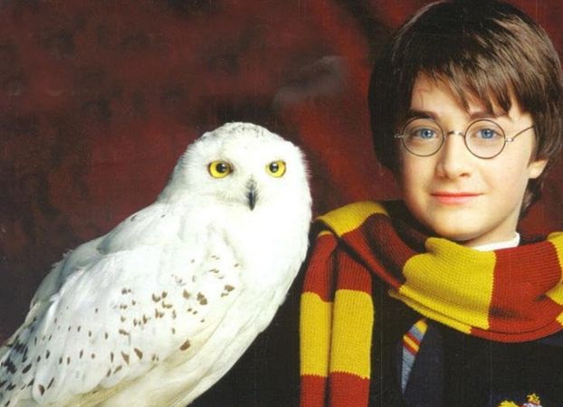 FOTO Harry Potter promijenio im je život, pogledajte kako sada izgledaju zvijezde filmova