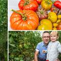 Naš ‘šaptač rajčicama’ uzgaja više od 100 sorti, a dvije zelene sorte nazvao je po kćeri - Erika