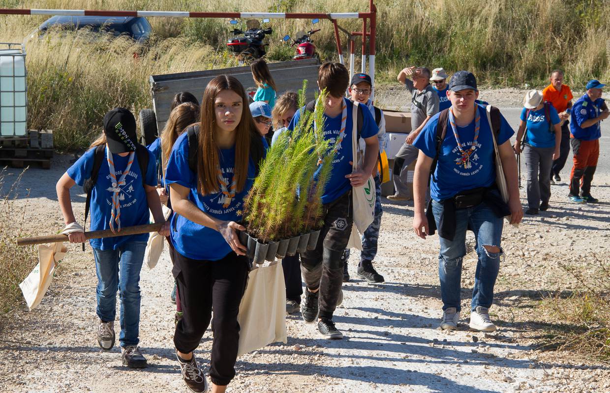 Tisuću volontera u Dalmaciji je zasadilo 10.000 novih stabala