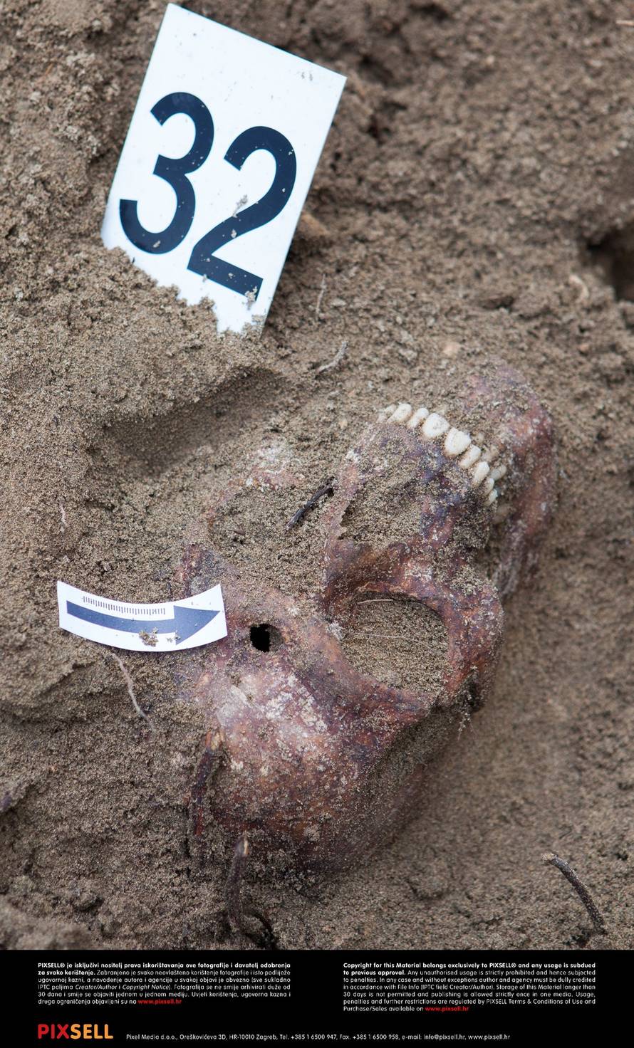 Grgo Jelavić/PIXSELL