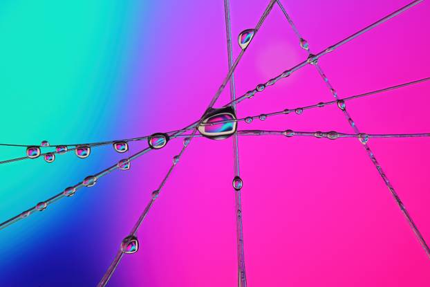 TOP 100 fotografija u 2024. godini
 