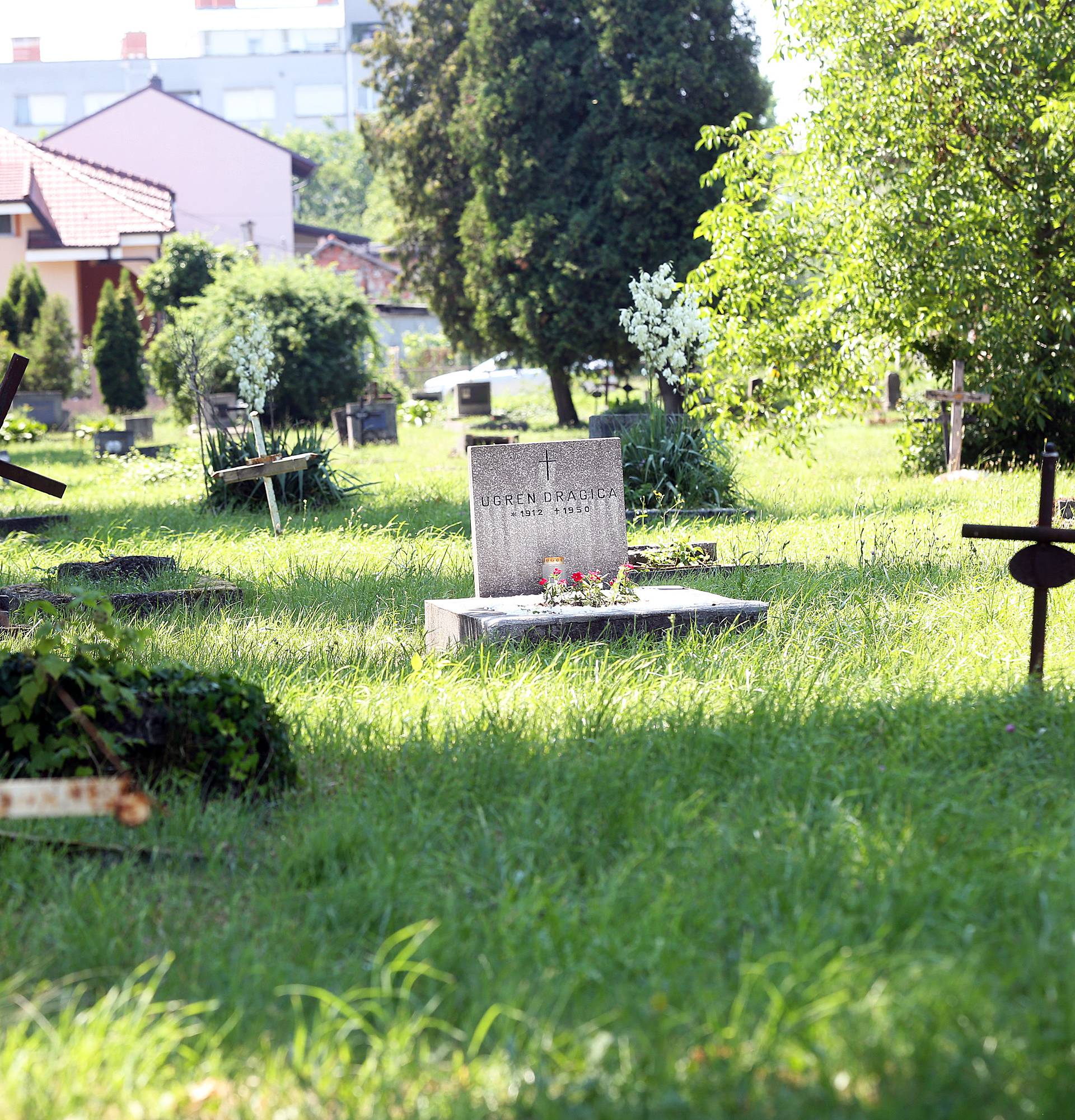 Oko grobova mrtvih pacijenata mladi se opijaju i rade tulume