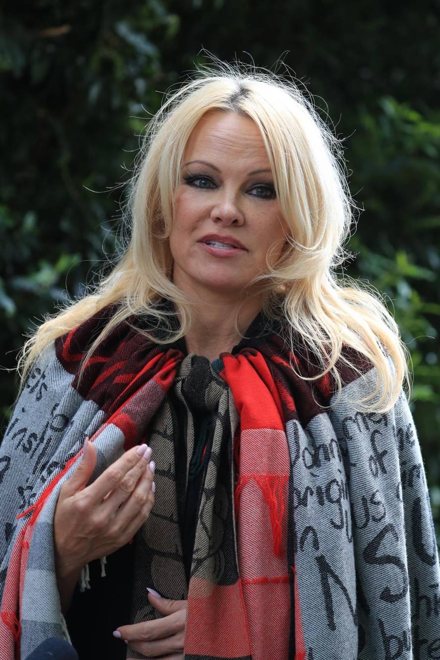 Julian Assange extradition case