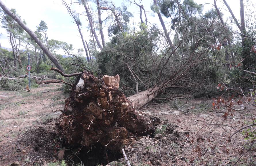 Posljedice velikog nevremena u Splitu, Marjan oštećen i zatvoren za građane