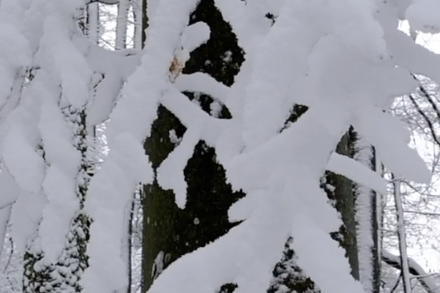 Top domaći zimski izleti