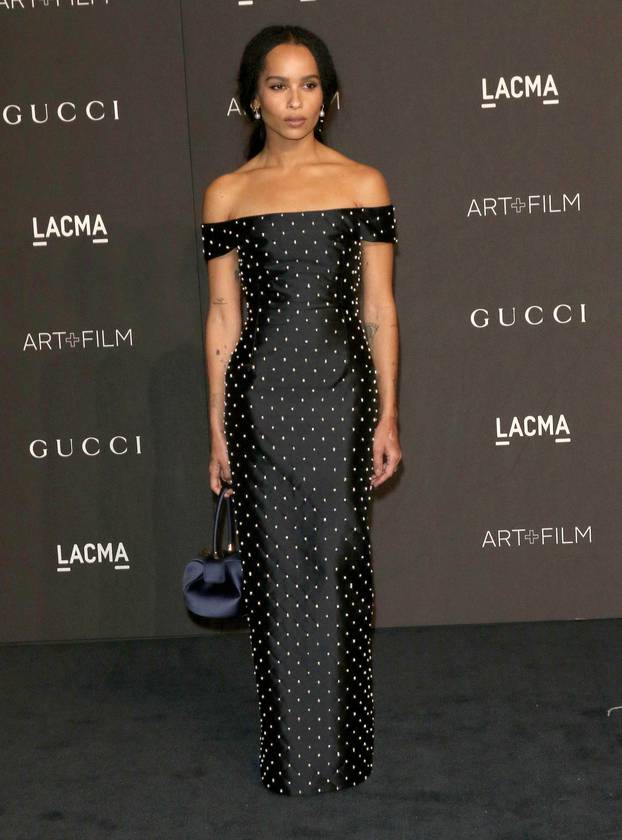 2018 LACMA Art + Film Gala - Los Angeles