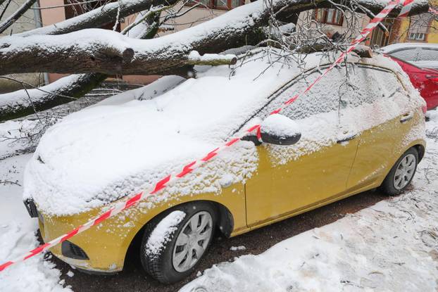 Na parkirani automobil u Osijeku palo stablo
