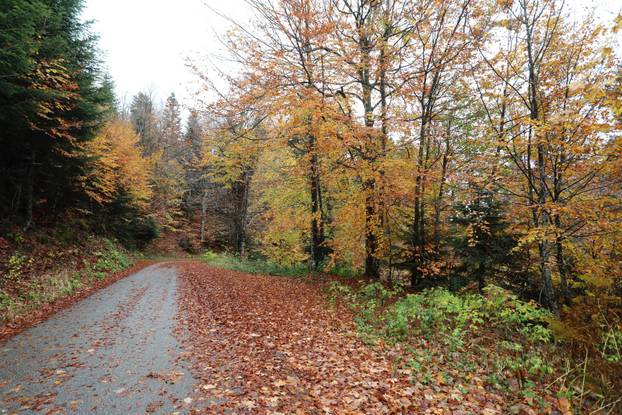 Delnice: Boje jeseni u Gorskom kotaru