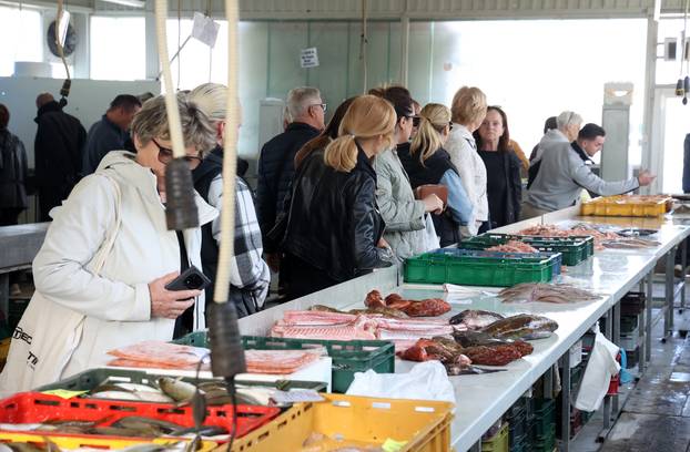 Šibenik: Poskupljenje plavog dizela još se nije odrazilo na cijene u ribarnici