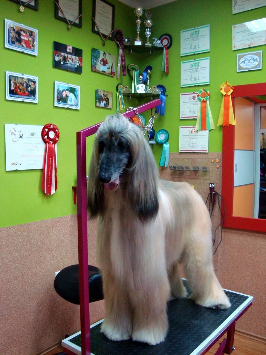 Irina Pavković Bilić