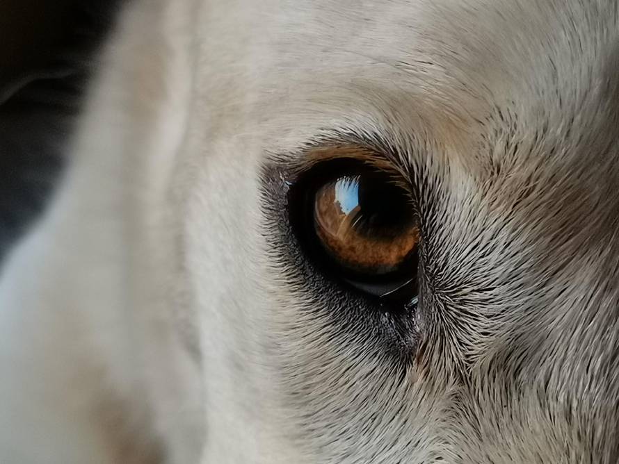 Kako rade top noviteti koje je dobio Huaweijev Mate 20 Pro?