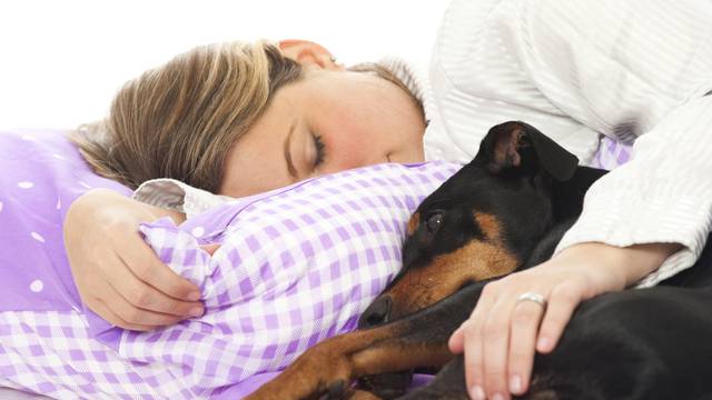 Blagodati spavanja s kućnim ljubimcima: Ima ih daleko više nego što možete zamisliti