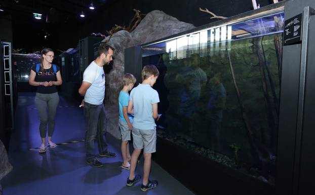 Slatkovodni akvarij Aquatika Karlovac, jedna je od destinacija izletnika