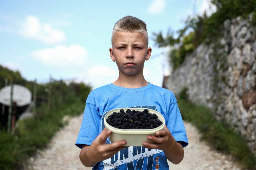 Ovo je dječak koji je rasplakao regiju: 'Ukrali su mu kupine, a on ide dalje još jači. Moj junak!'