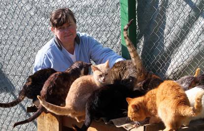 ''To je moj život'': Zna kako se zove svaka maca, a ima ih 152 