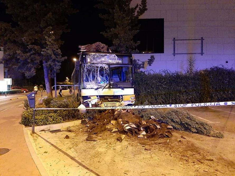 Goli do pasa ukrali autobus kod Dubrovnika, razbili ga i pobjegli