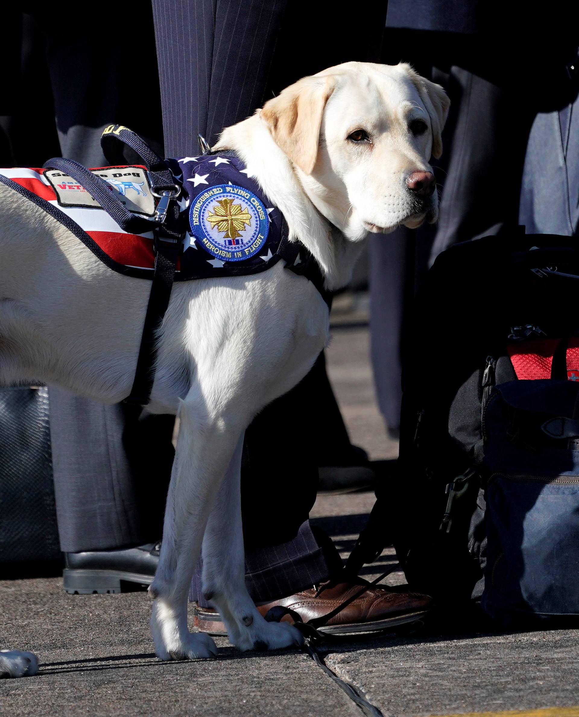 Bush's dog Sully is seen during a departure ceremony at Ellington Field in Houston