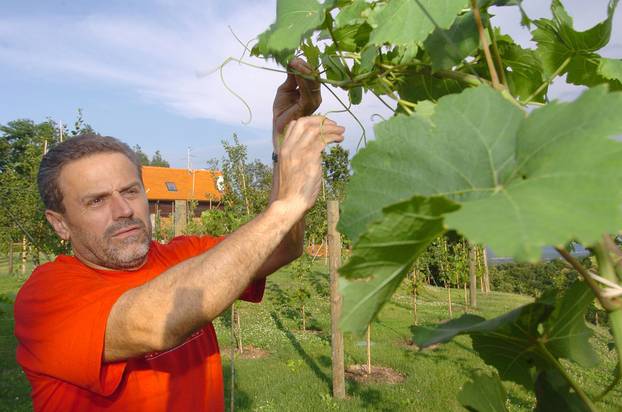 ARHIVA - 22. studenog 1955. u Grudama ro?en je Milan Bandi?