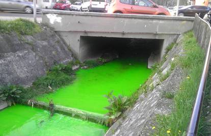 Onečišćenje u Zagrebu: Potok Kustošak ponovno pozelenio