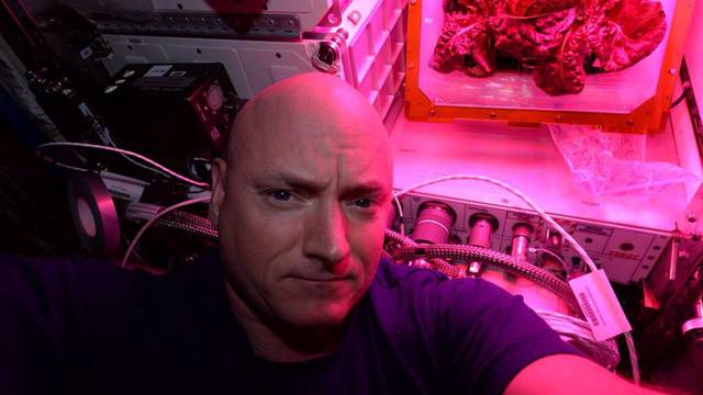 Scott Kelly/Twitter