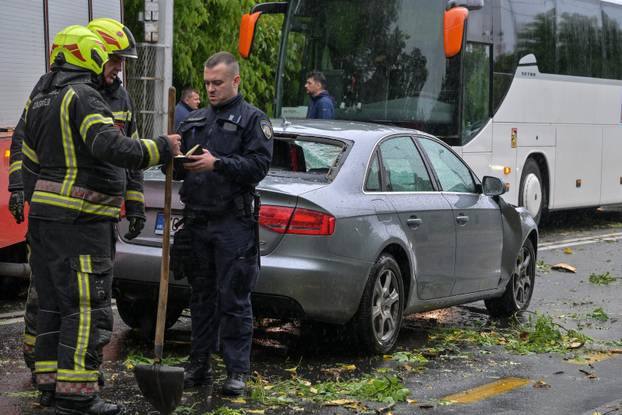 Zagreb: Palo stablo na Maksimirskoj, blokiran promet, vatrogasci na terenu