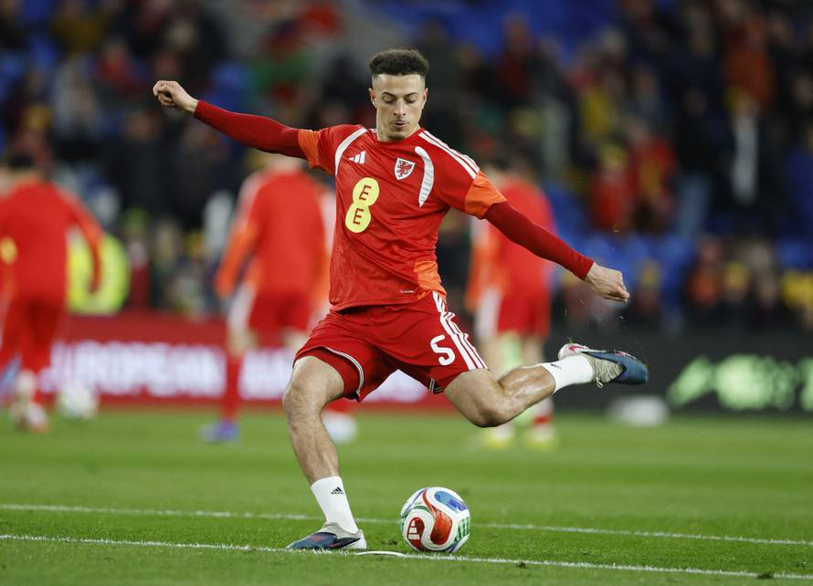 FIFA World Cup - UEFA Qualifiers - Semi Final - Wales v Bosnia and Herzegovina