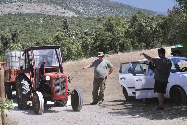 Vrlika: Danas počinje cijepljenje stoke zbog bedrenice