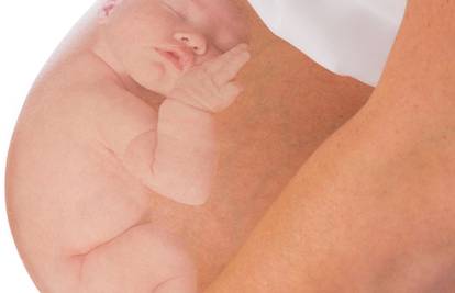 Trbuh je prva škola: Mozak bebe najbrže raste u trudnoći