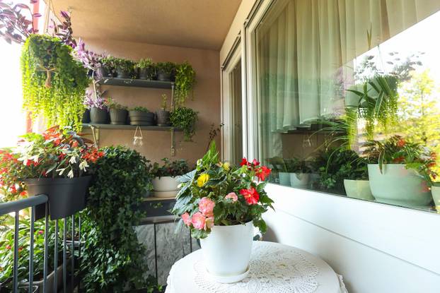 Zagreb: Jasenka Marija Kaštelan ima najljepši vrt na balkonu i ispred zgrade 