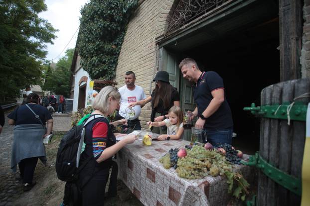 Zmajevac:  Vinski Bor maraton