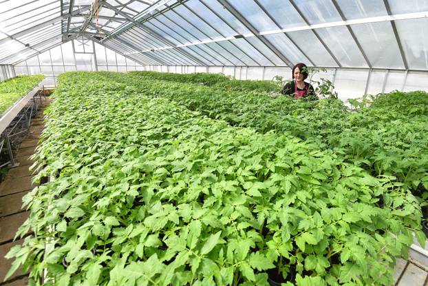 Vinica: Srednja škola "Arboretum Opeka"