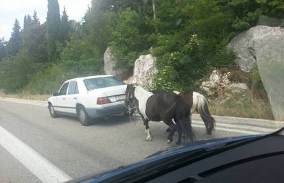 Majstor: Ponije je zavezao za mercedes i otišao na sajam...