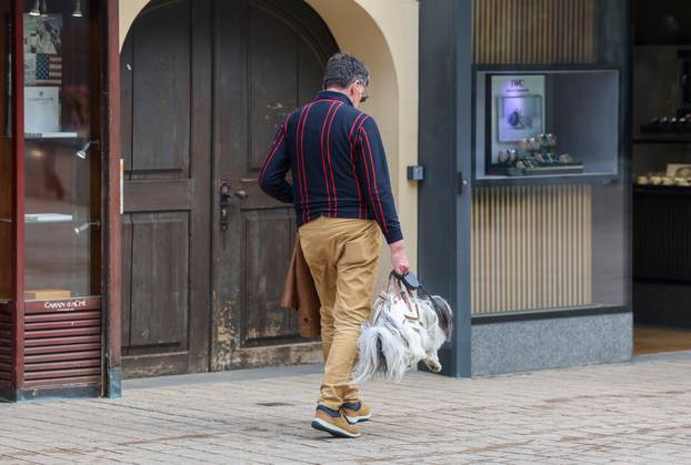 Zagreb: Pas poput modne torbice