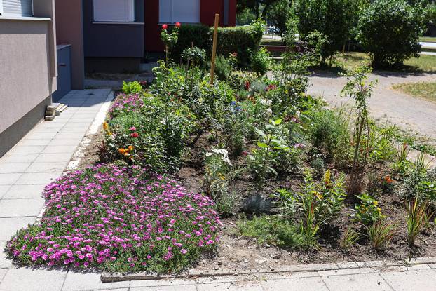 Zagreb: Jasenka Marija Kaštelan ima najljepši vrt na balkonu i ispred zgrade 