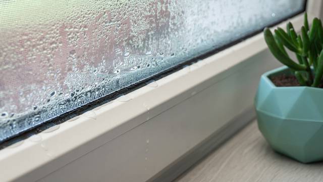 Close-up,Of,Condensation,On,Pvc,Window,,White,Plastic,Window,,Houseplant