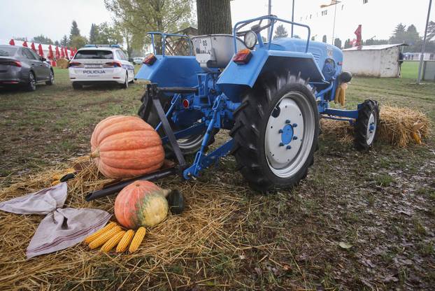 51. Olimpijada starih sportova u Brođancima