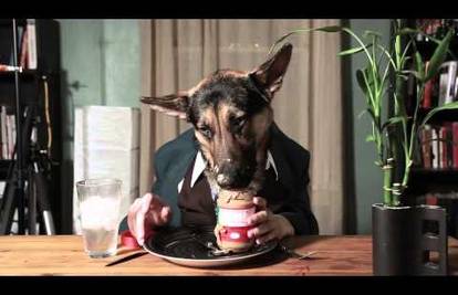 Zarazan smijeh: Jedva dolazio do zraka zbog psa  za stolom