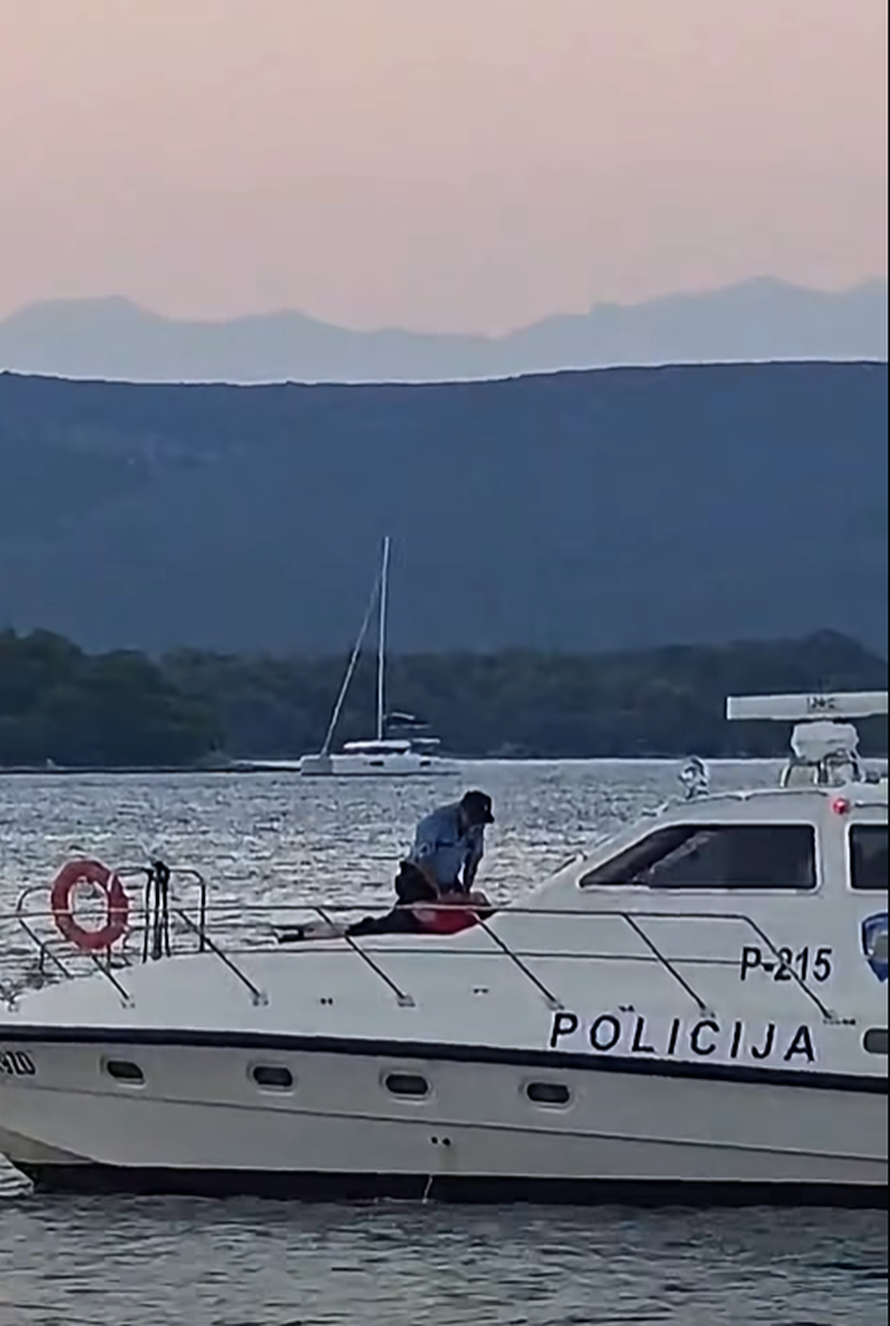 Širi se snimka na kojoj policajac s broda baca psa u more! Evo što kažu: 'Samo smo ga pustili'