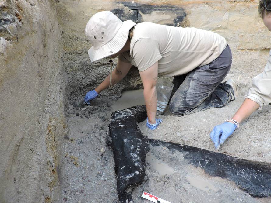 Researchers uncover a wooden structure on the banks of the Kalambo River in Zambia