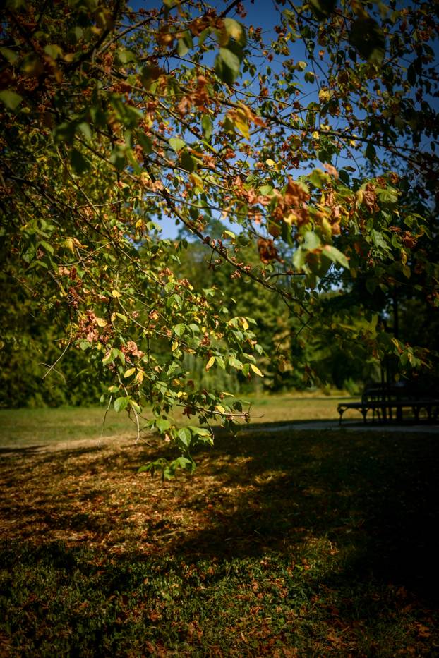 Zagreb: Jesenske boje u parku Maksimir