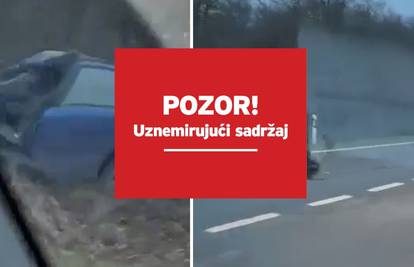 VIDEO Kod Umaga naletio na magarce: 'Ležali su na cesti, vidio sam samo jednog živog'