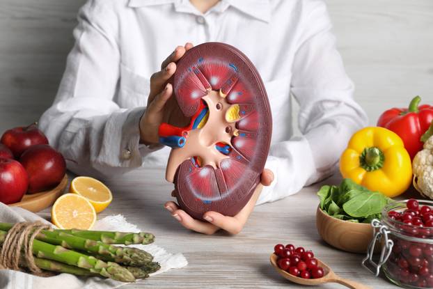Woman holding kidney model near different products on white wood