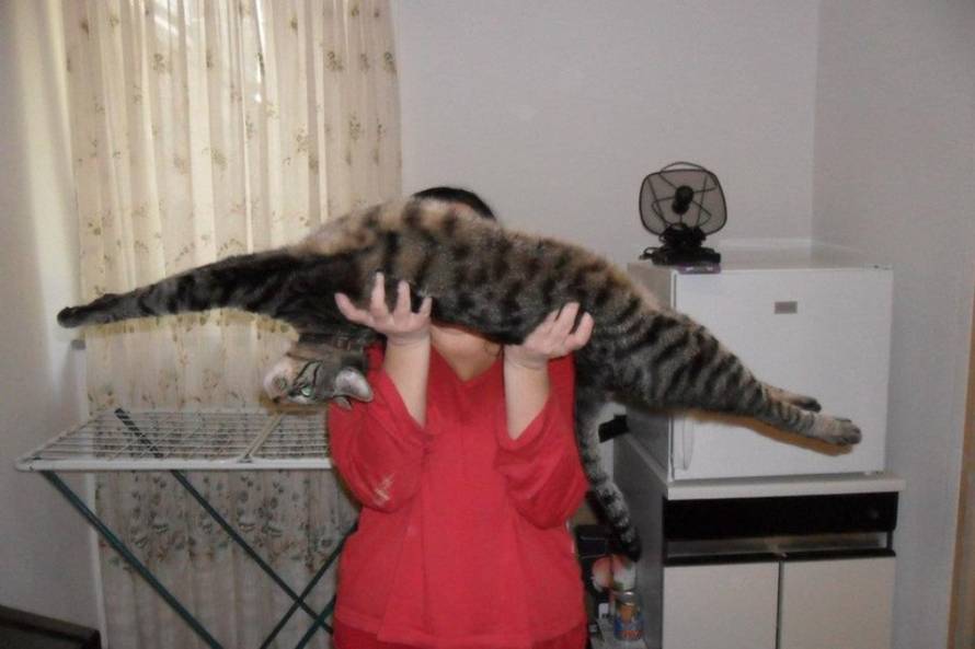 24Ljubimci/Daj šapu