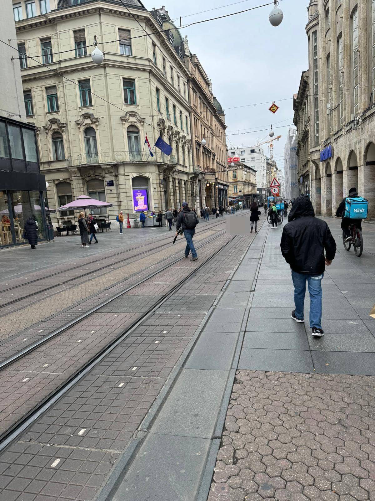 Užas u centru Zagreba, tramvaj pregazio psa. Svjedoci: Vozač ga je pregazio, a mogao je stati!