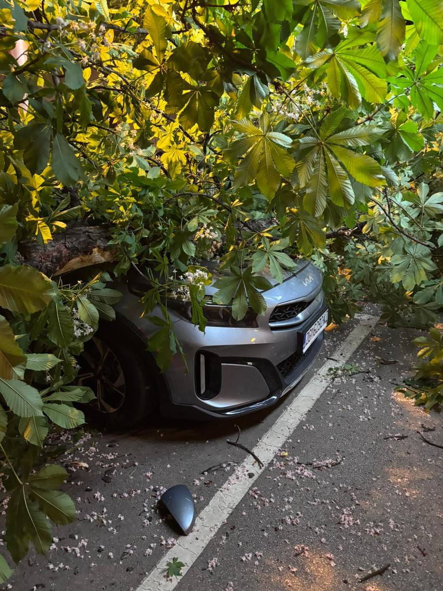 FOTO Ogromno stablo palo na auto i pločnik u Zagrebu!