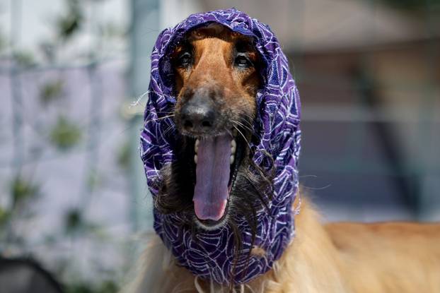 PIXSELL TOP 100 - 2025